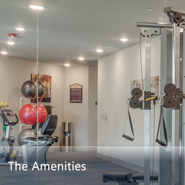 Features & Amenities